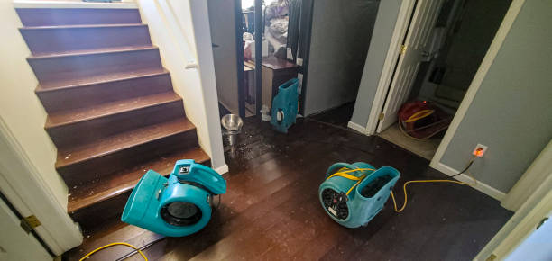 Best Local water damage restoration  in Sweet Home, AR