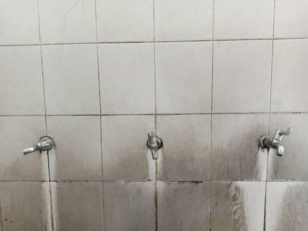 Best Ceiling water damage repair  in Sweet Home, AR