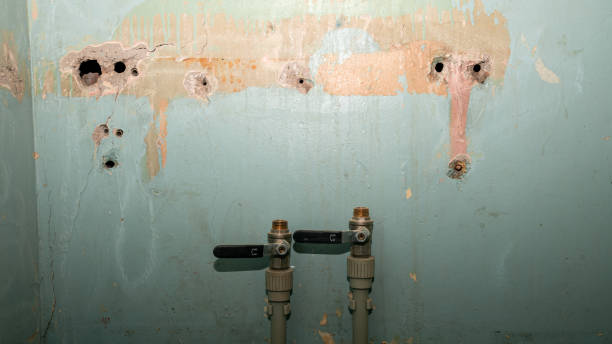 Best Emergency water damage restoration  in Sweet Home, AR