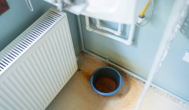 Best Water damage contractors near me  in Sweet Home, AR