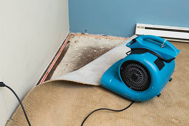 Best Professional water damage repair  in Sweet Home, AR